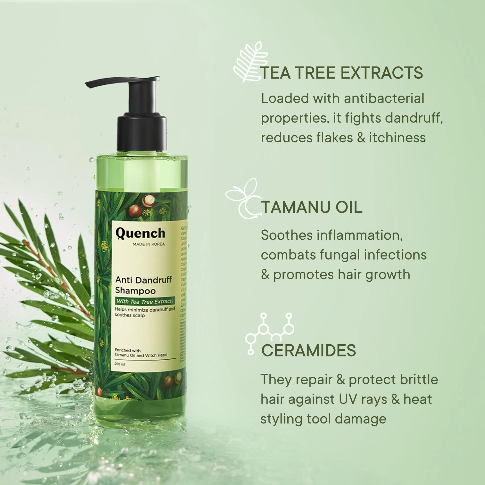Anti Dandruff Shampoo with Tea Tree Extracts - 250 ML - Image 3